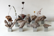 Saisei_DriftWood2