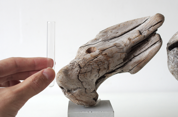 Saisei_DriftWood2