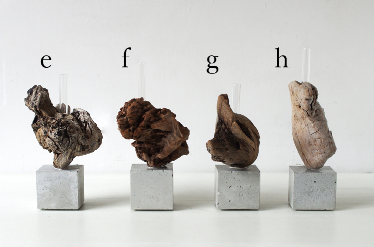 Saisei_DriftWood2