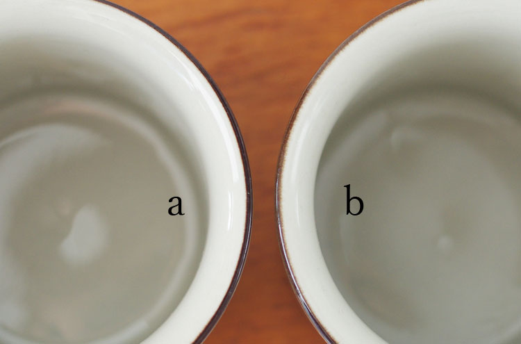 Arabia_FennicaDMug