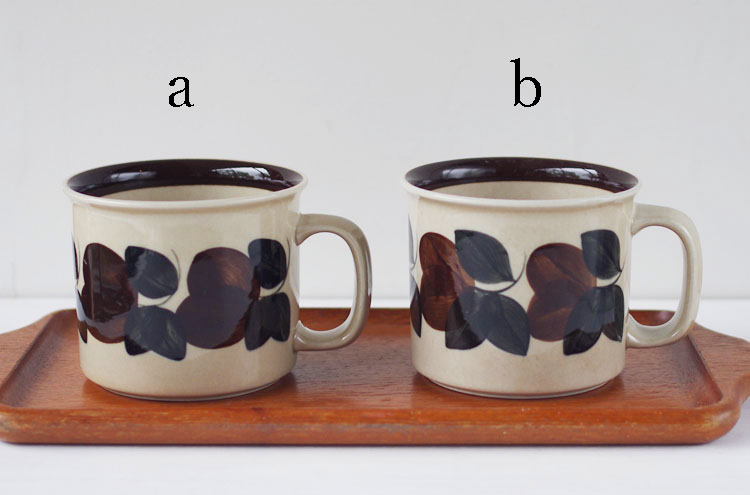 Arabia_RuijaDMug