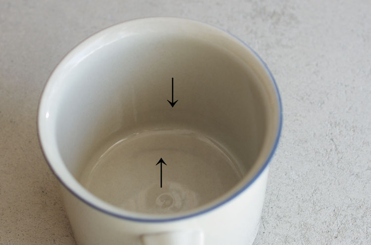 Arabia_SaimaaDMug