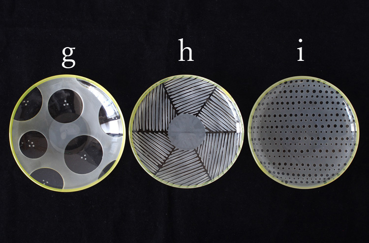 MHirai_SmallPlate