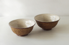 Lion_AfricaMeshiwanM