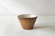 Lion_AfricaSobachoko2