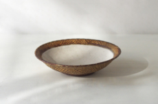 Lion_AfricaToriwakeBowl