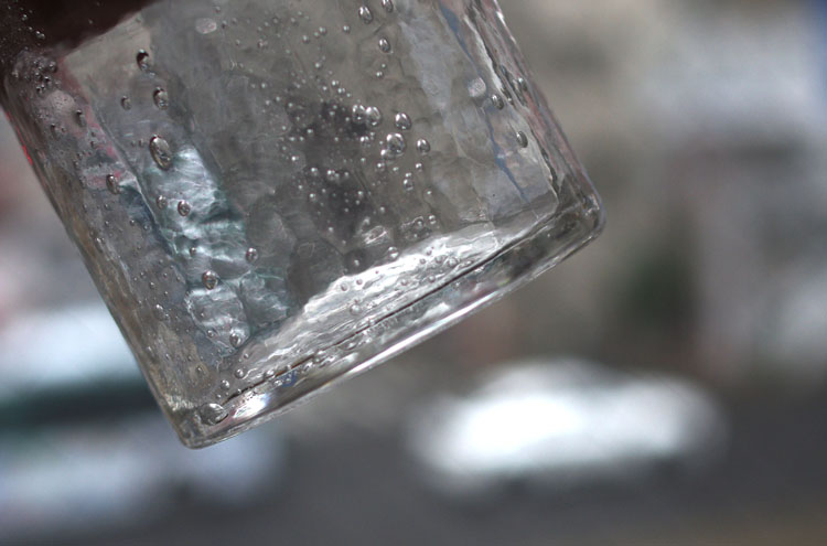 SugitaSosaku_Kyanisuta