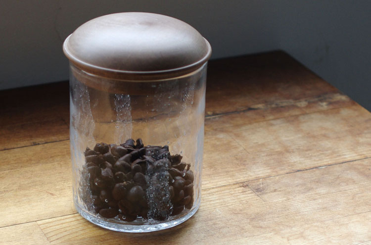 SugitaSosaku_Kyanisuta