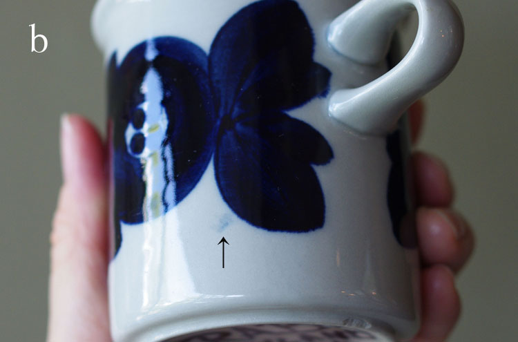 Arabia_AnemoneCofCS