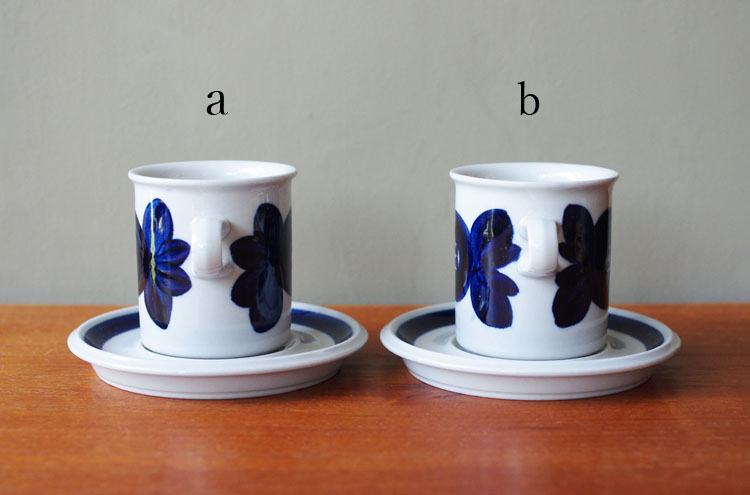 Arabia_AnemoneCofCS