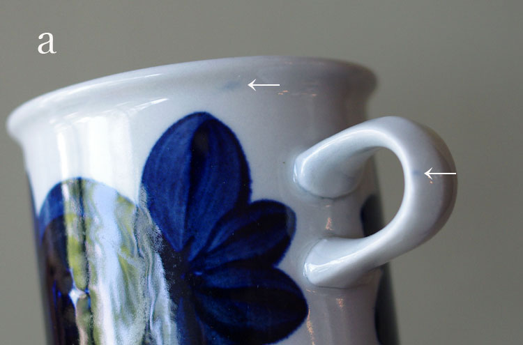Arabia_AnemoneCofCS