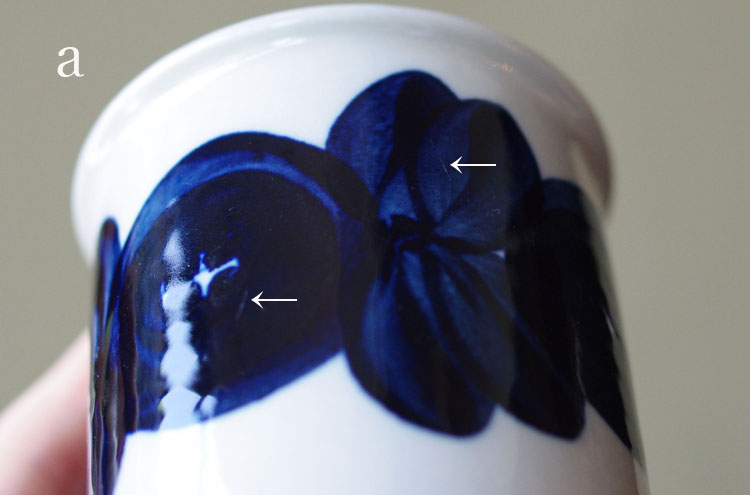 Arabia_AnemoneCofCS